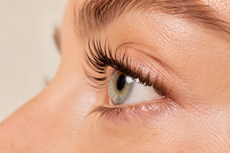 Le regard